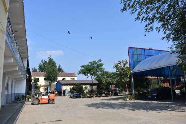 樱桃污视频在线观看